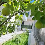 Likaj 培拉特